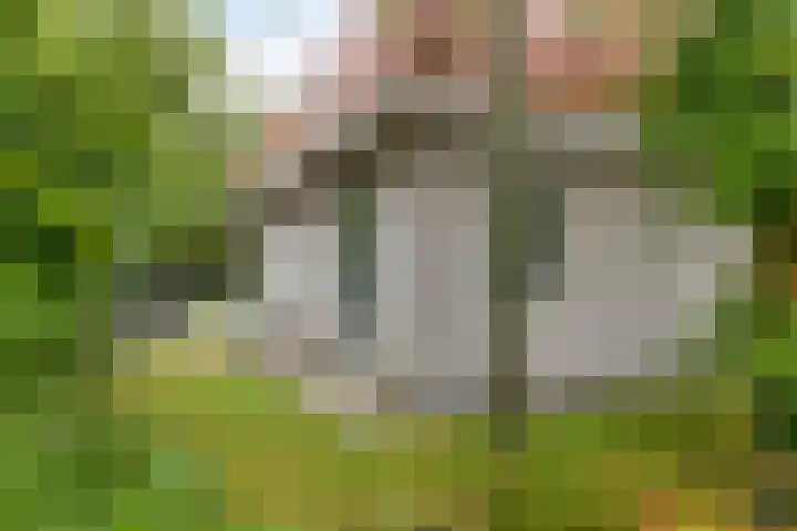 De Witte Raaflaan 148 Noordwijk thumbnail 28