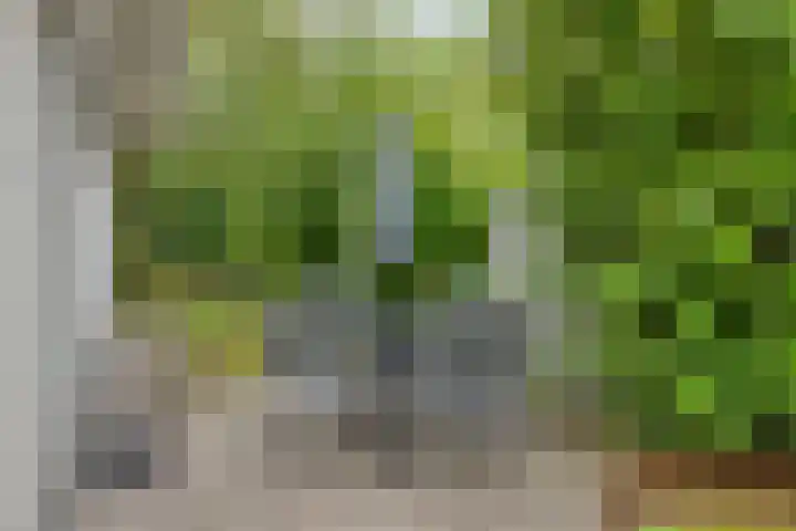 De Witte Raaflaan 148 Noordwijk thumbnail 29