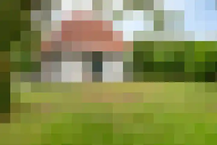 De Witte Raaflaan 148 Noordwijk thumbnail 30