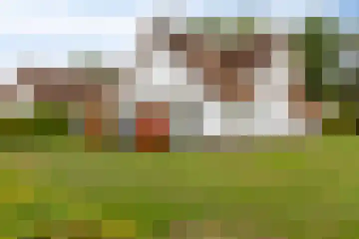 De Witte Raaflaan 148 Noordwijk thumbnail 31