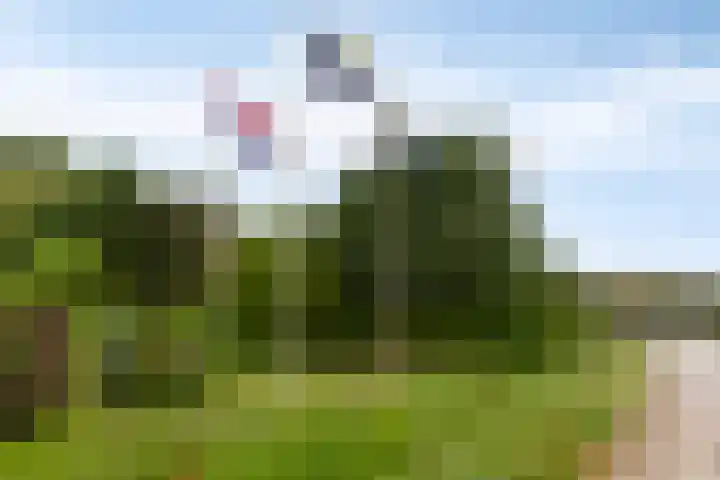 De Witte Raaflaan 148 Noordwijk thumbnail 33