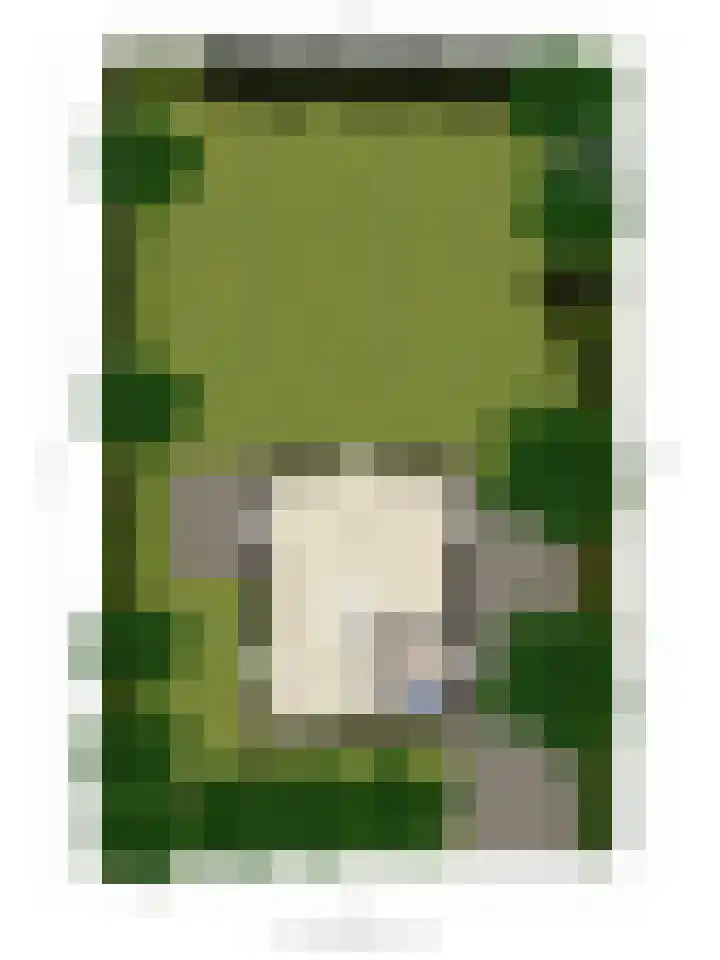 De Witte Raaflaan 148 Noordwijk thumbnail 35