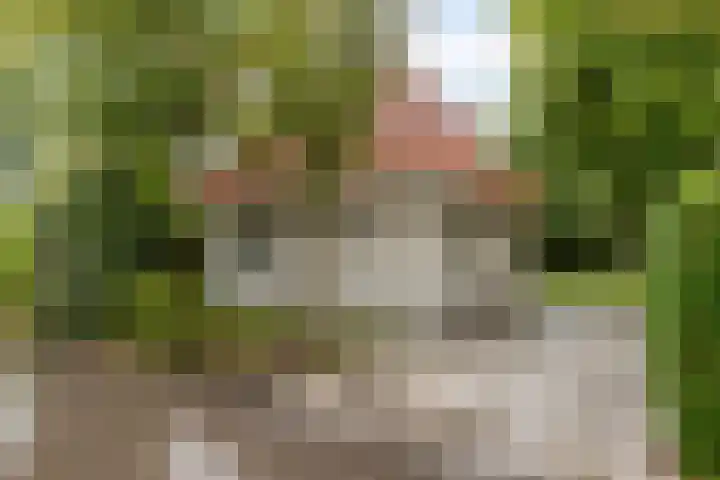 De Witte Raaflaan 148 Noordwijk thumbnail 5