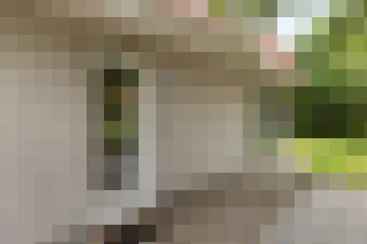De Witte Raaflaan 148 Noordwijk thumbnail 6