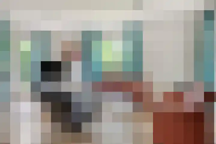 De Witte Raaflaan 148 Noordwijk thumbnail 9