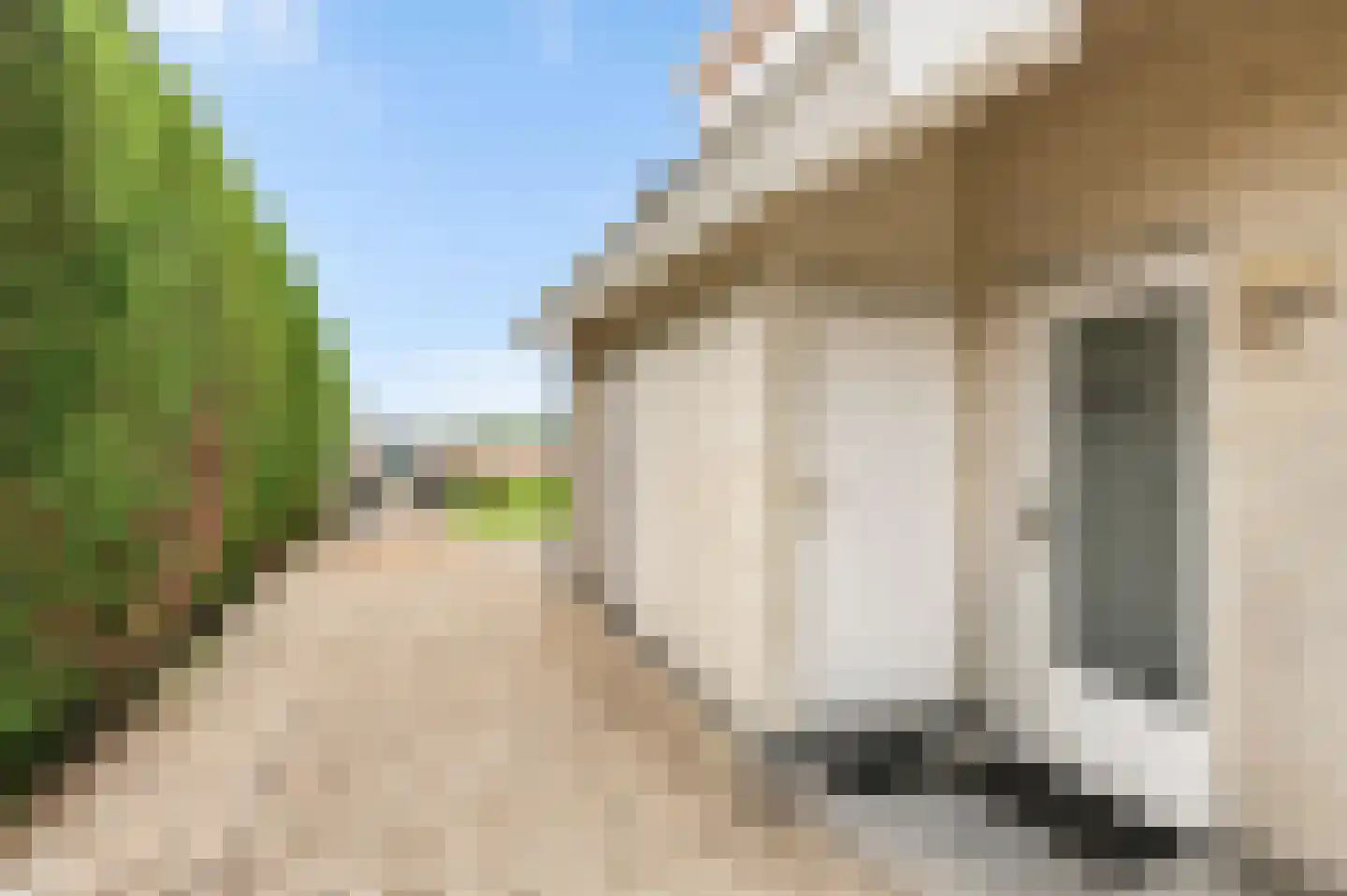 De Witte Raaflaan 171 Noordwijk thumbnail 11