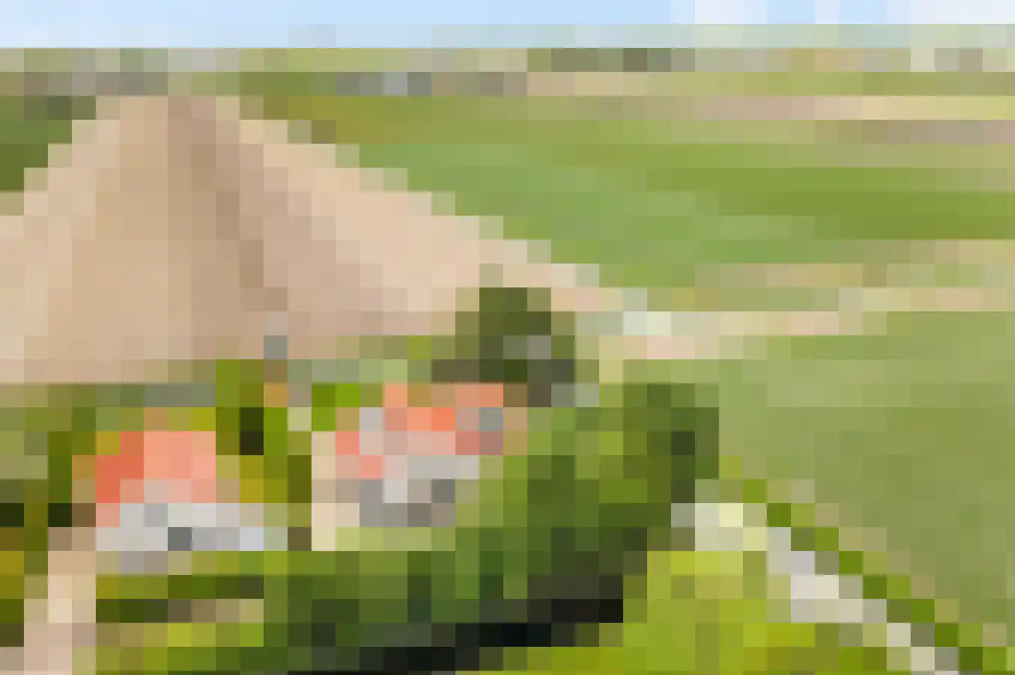 De Witte Raaflaan 171 Noordwijk foto 2