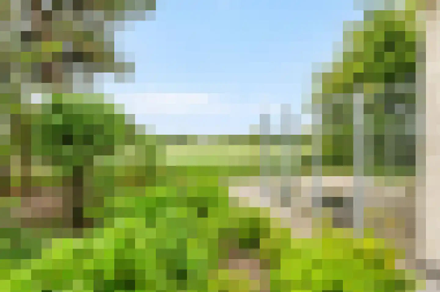 De Witte Raaflaan 171 Noordwijk thumbnail 23