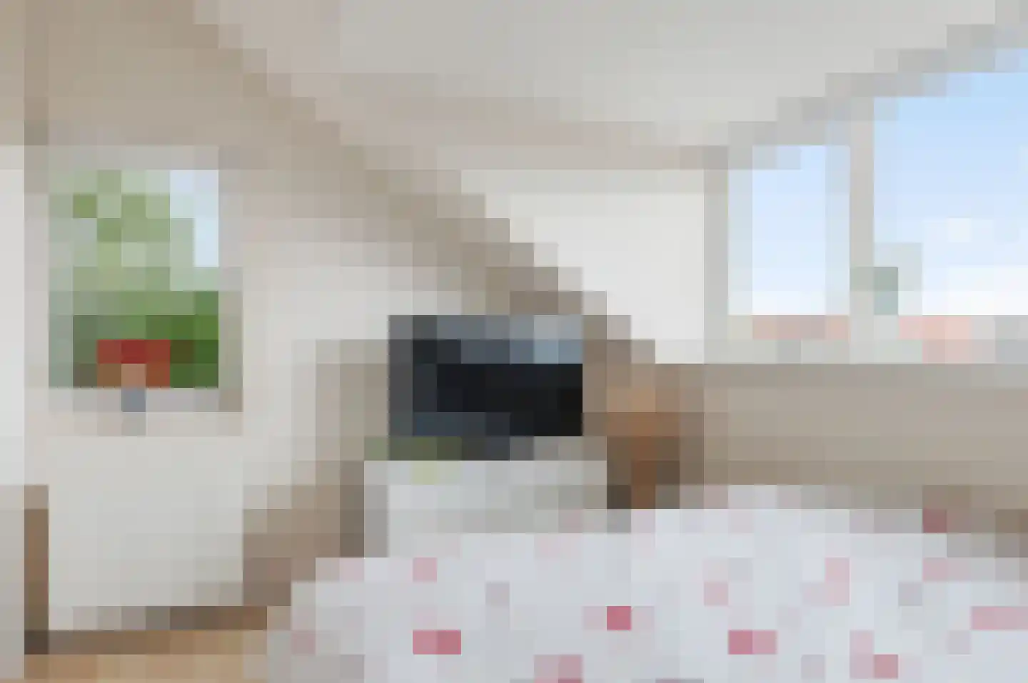 De Witte Raaflaan 171 Noordwijk thumbnail 33