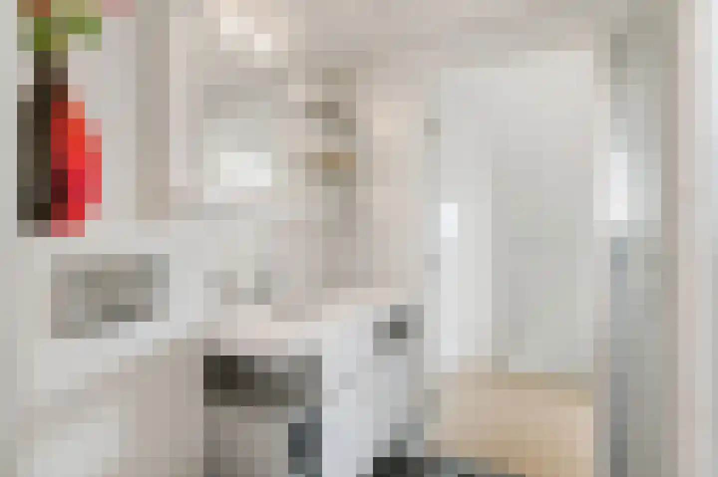 De Witte Raaflaan 171 Noordwijk thumbnail 35