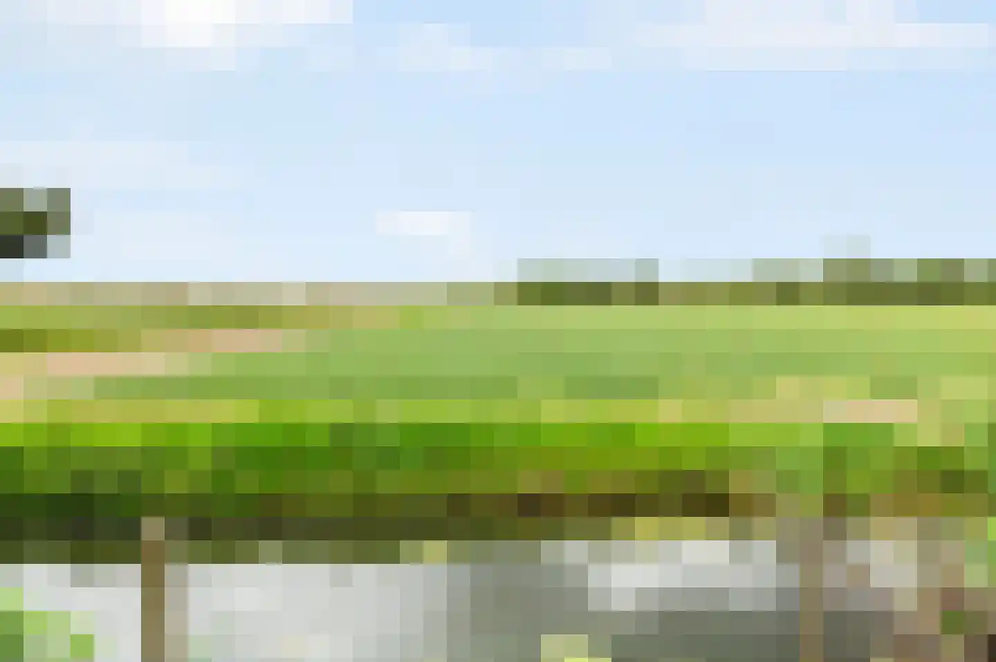 De Witte Raaflaan 171 Noordwijk thumbnail 40