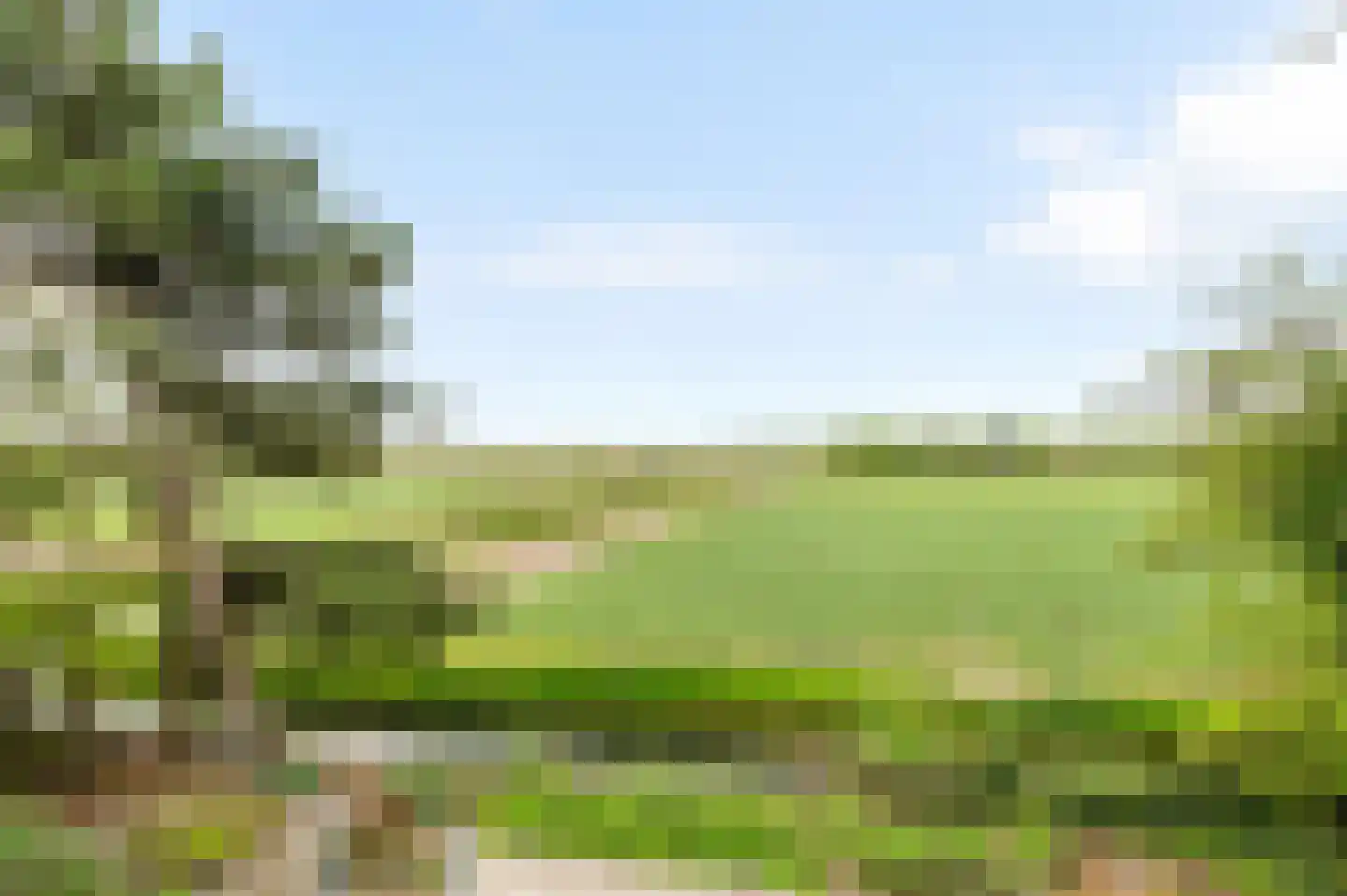 De Witte Raaflaan 171 Noordwijk thumbnail 41