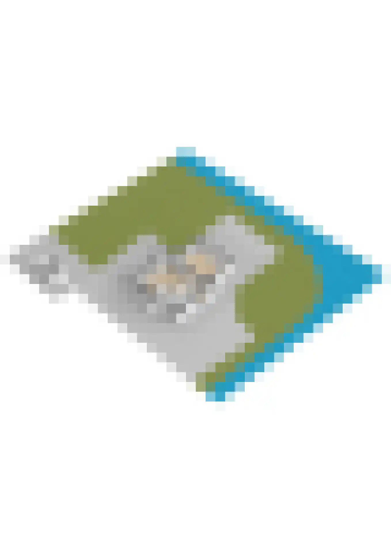 De Witte Raaflaan 171 Noordwijk thumbnail 48