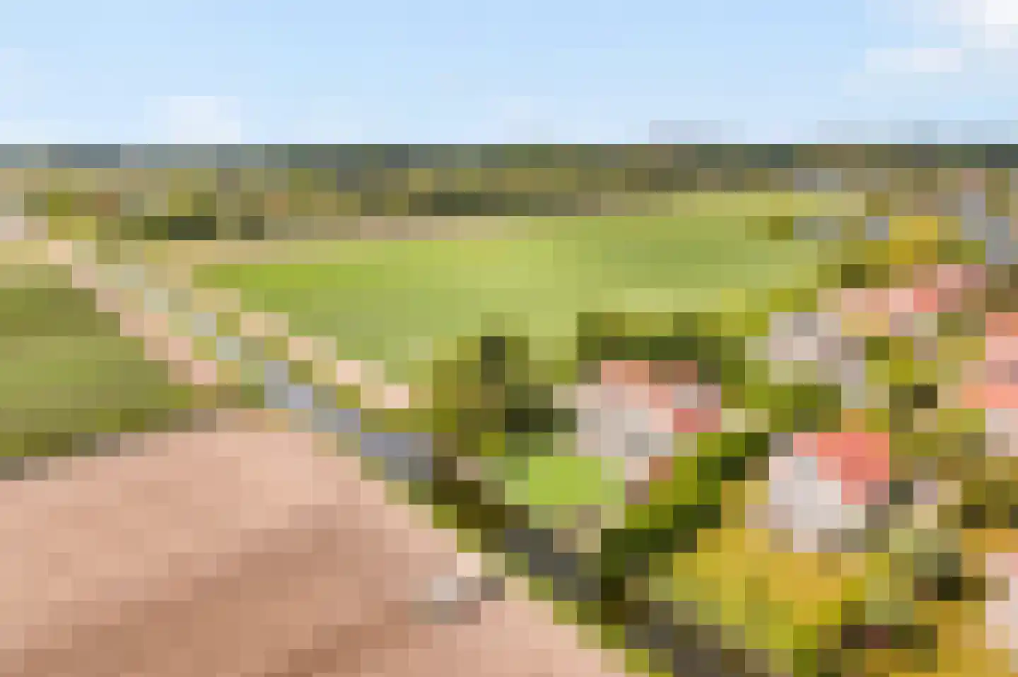 De Witte Raaflaan 171 Noordwijk thumbnail 5