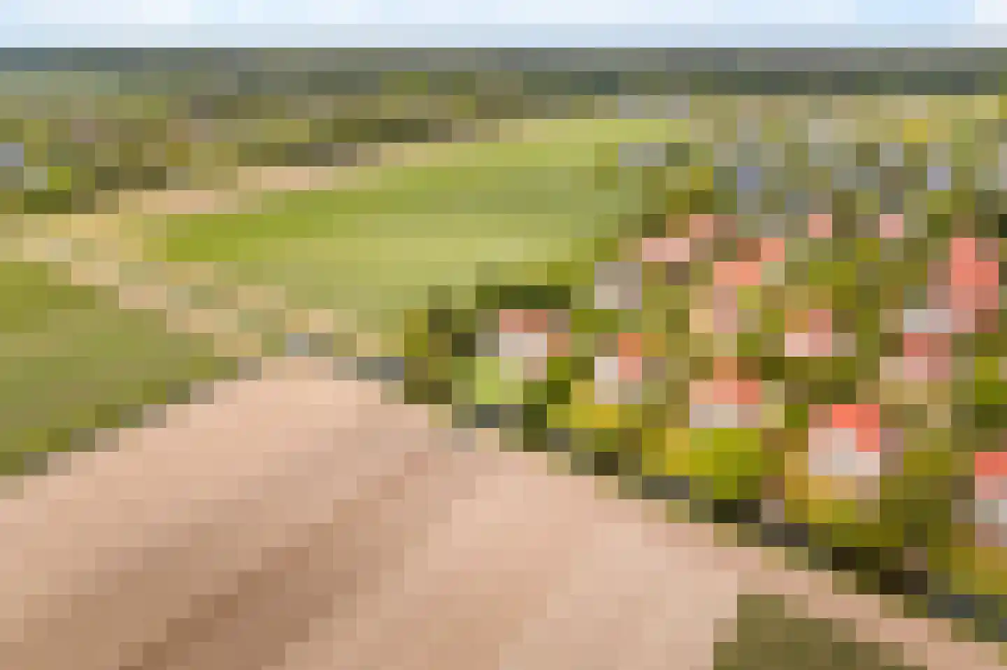 De Witte Raaflaan 171 Noordwijk thumbnail 6