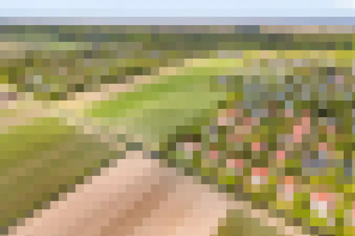 De Witte Raaflaan 171 Noordwijk thumbnail 7