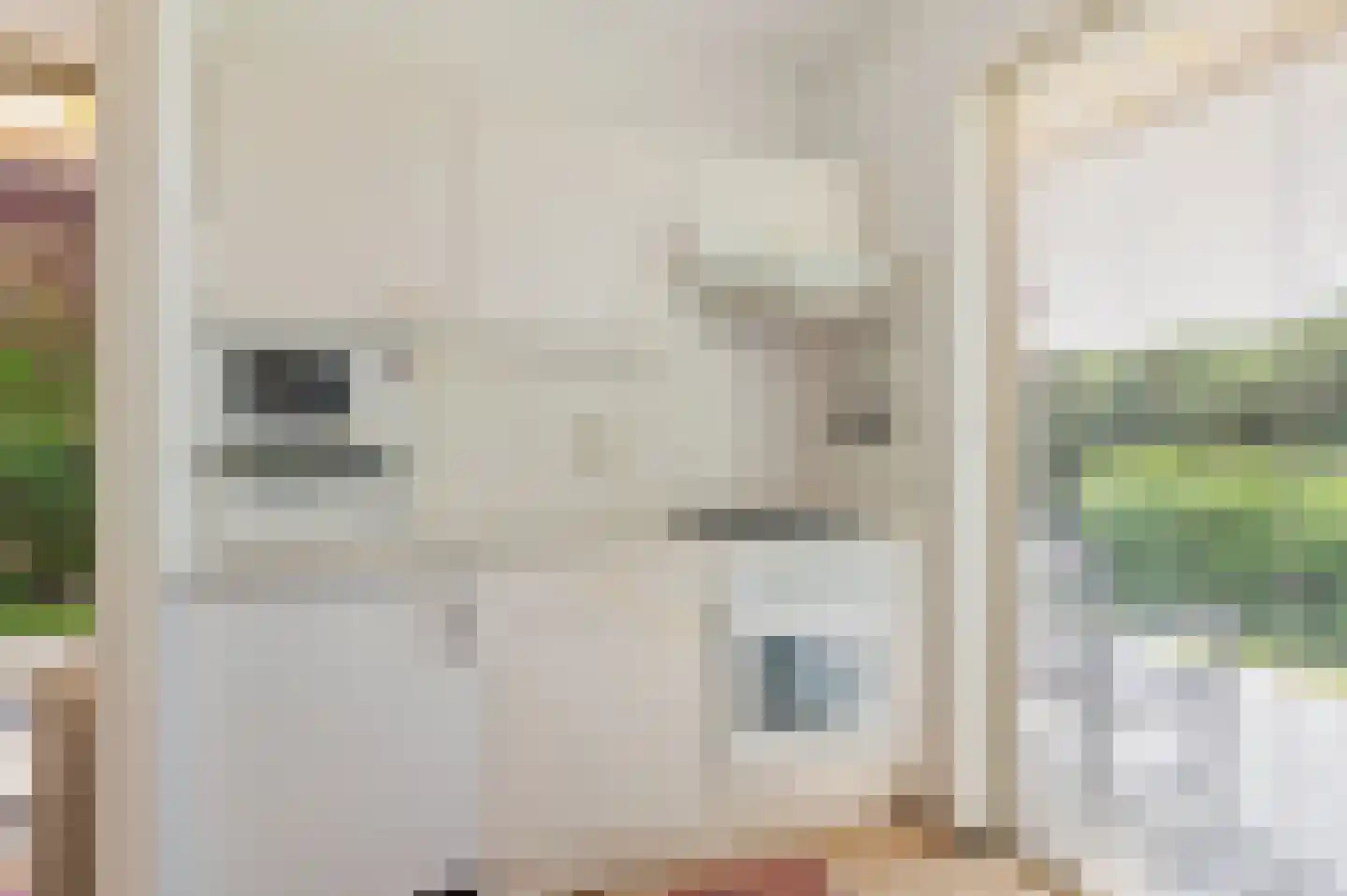 De Witte Raaflaan 23 Noordwijk thumbnail 16