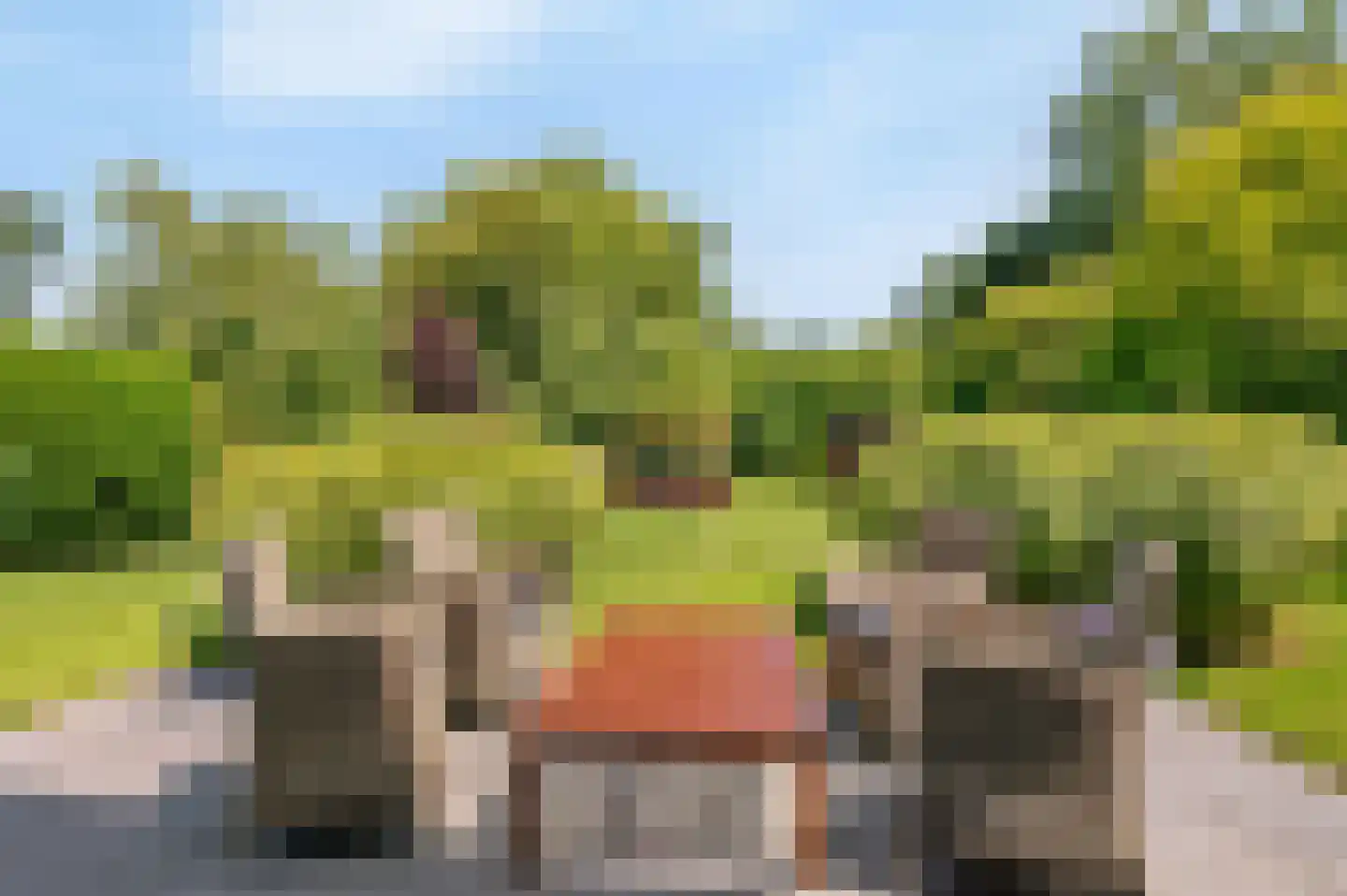 De Witte Raaflaan 23 Noordwijk thumbnail 17