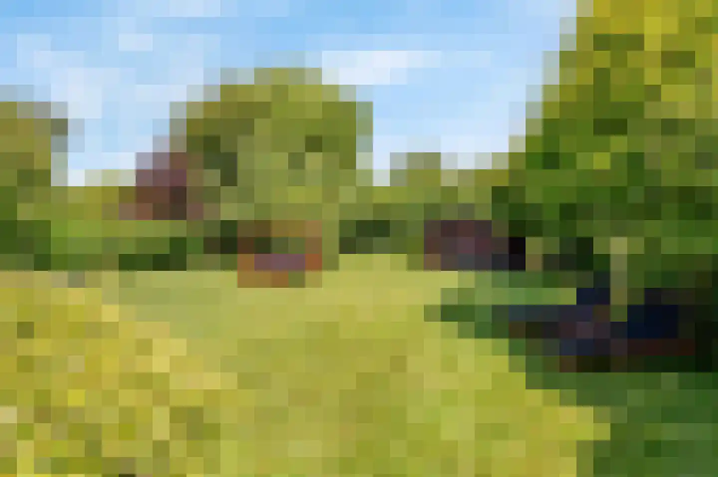 De Witte Raaflaan 23 Noordwijk thumbnail 18