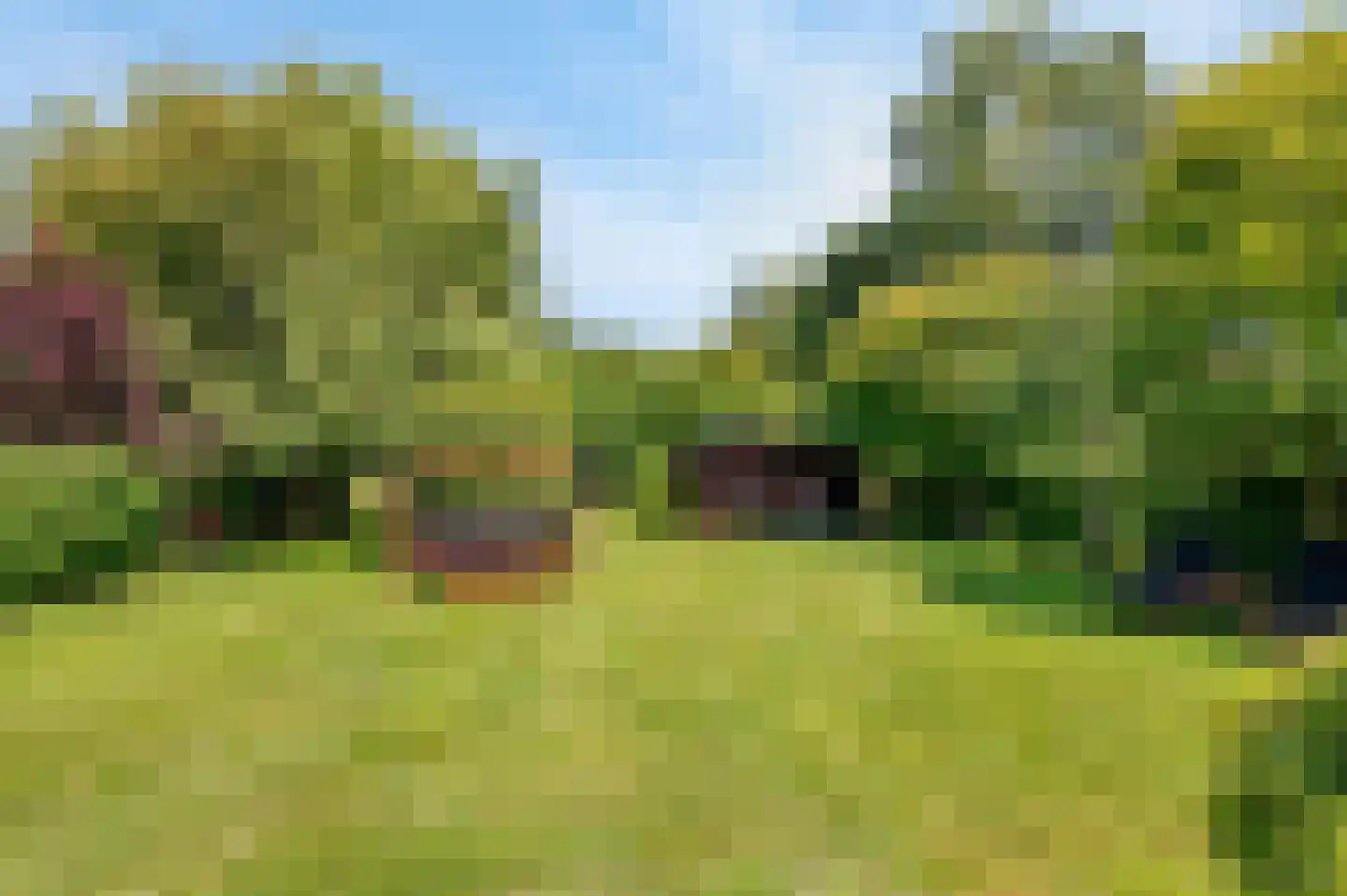De Witte Raaflaan 23 Noordwijk thumbnail 19