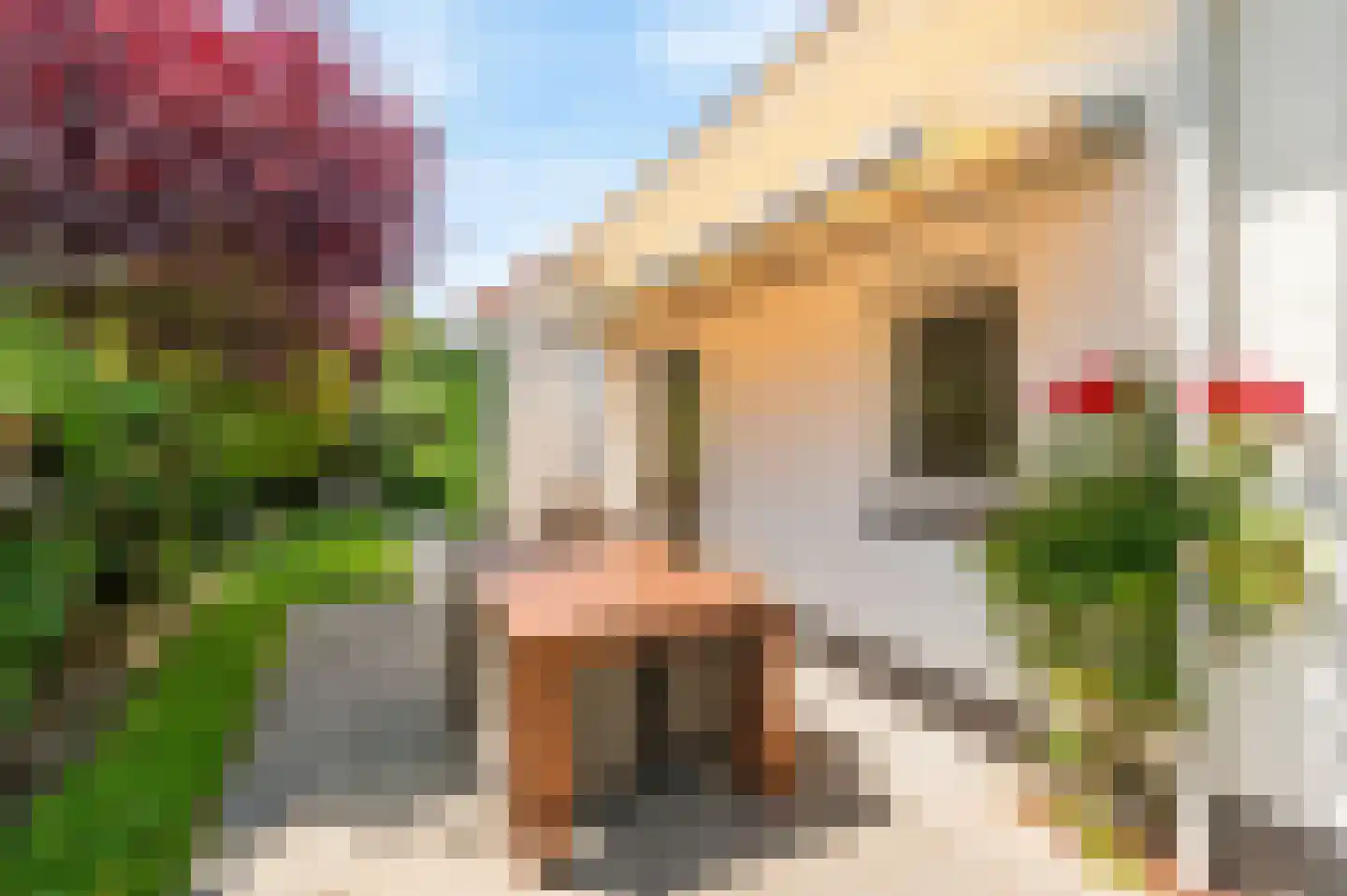 De Witte Raaflaan 23 Noordwijk thumbnail 21