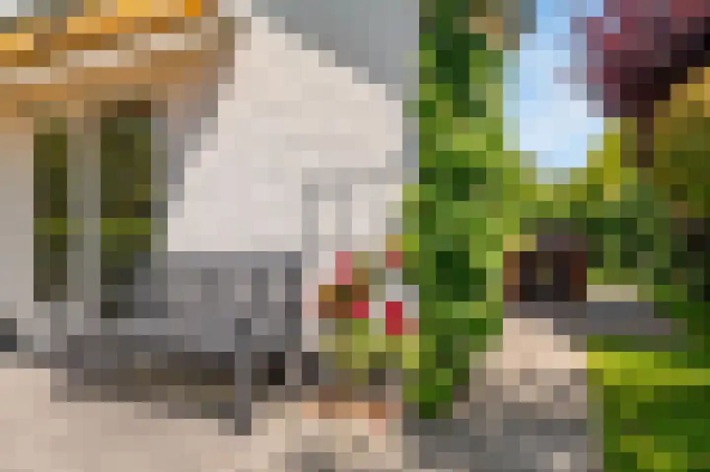 De Witte Raaflaan 23 Noordwijk thumbnail 22