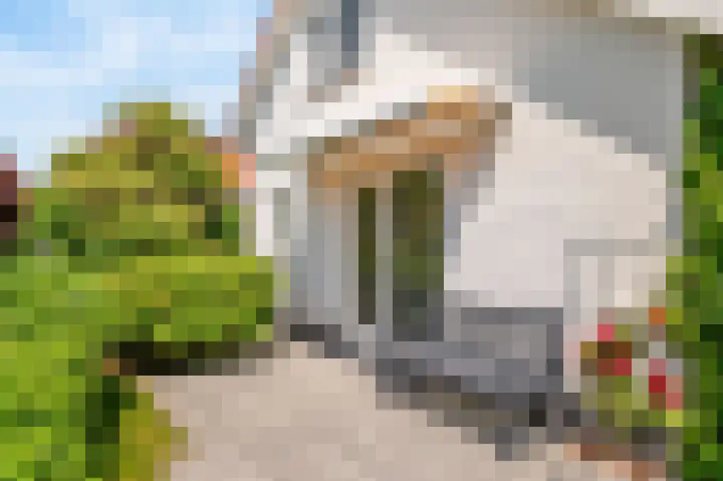 De Witte Raaflaan 23 Noordwijk thumbnail 23
