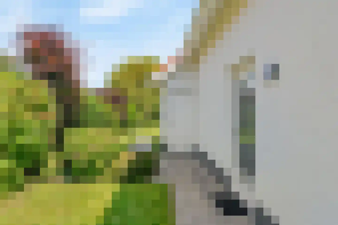 De Witte Raaflaan 23 Noordwijk thumbnail 24