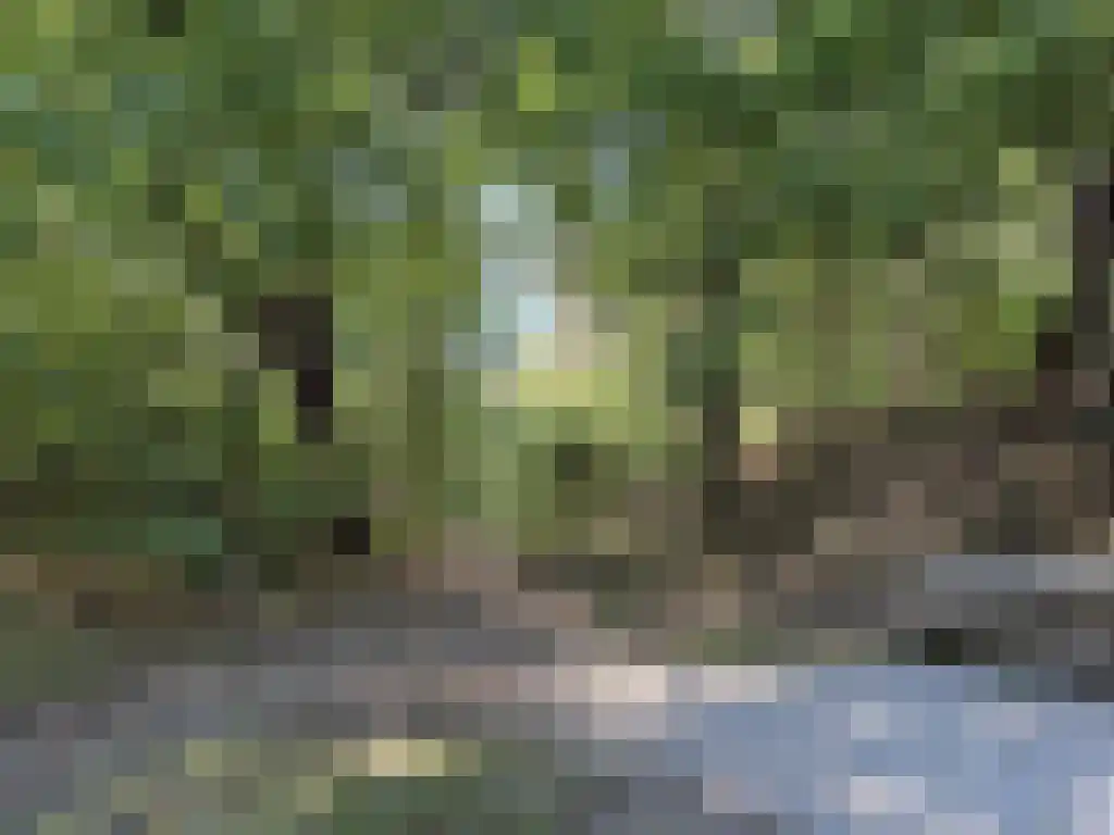 De Witte Raaflaan 23 Noordwijk thumbnail 39