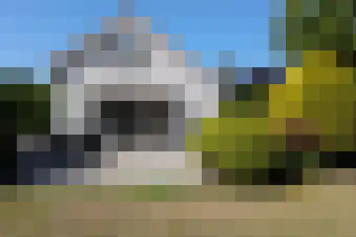 De Witte Raaflaan 24 Noordwijk thumbnail 11