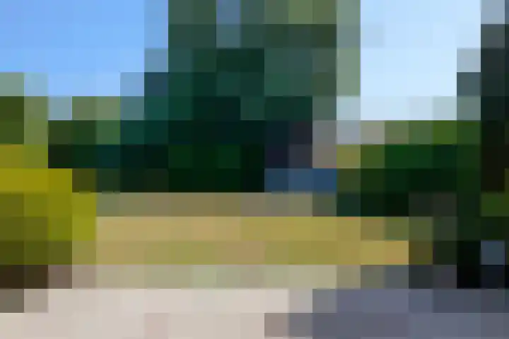 De Witte Raaflaan 24 Noordwijk thumbnail 12