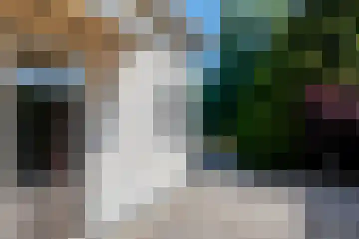 De Witte Raaflaan 24 Noordwijk thumbnail 13