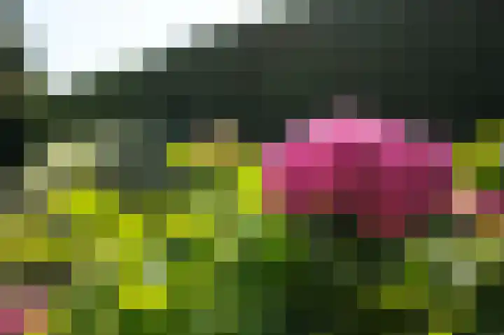 De Witte Raaflaan 24 Noordwijk thumbnail 14
