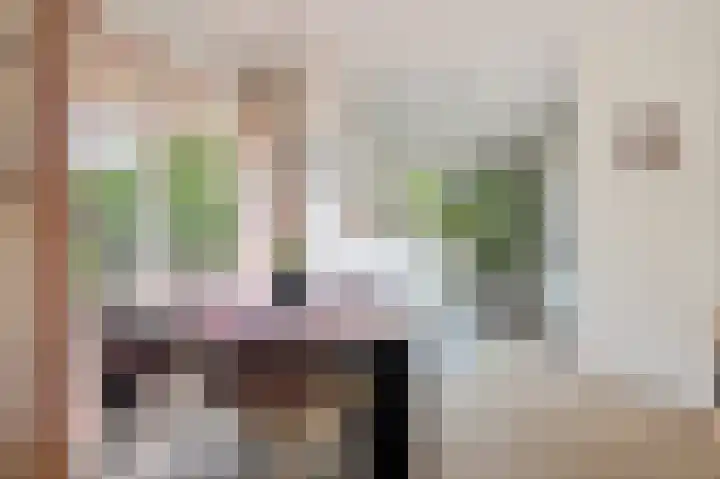 De Witte Raaflaan 24 Noordwijk thumbnail 16