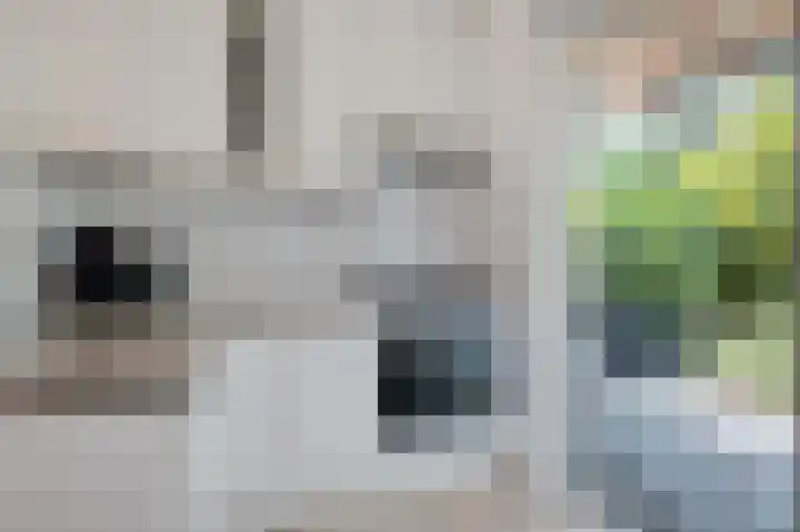 De Witte Raaflaan 24 Noordwijk thumbnail 17