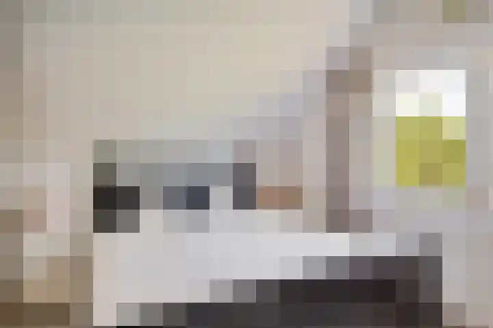 De Witte Raaflaan 24 Noordwijk thumbnail 23