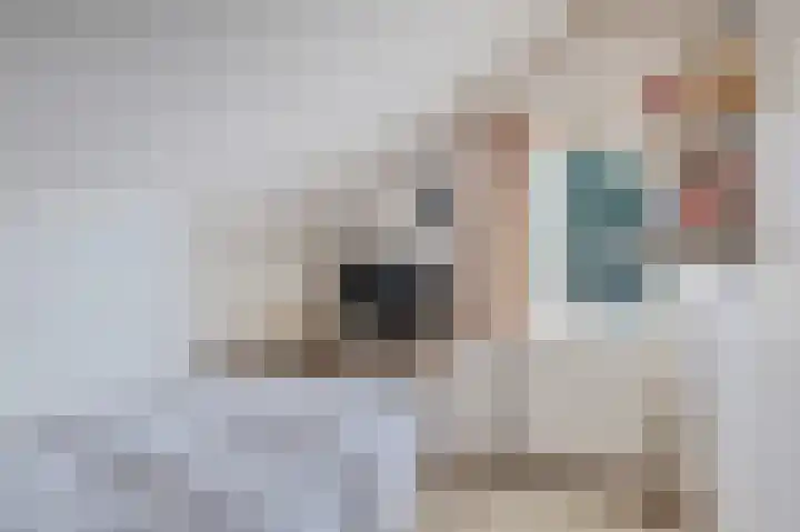 De Witte Raaflaan 24 Noordwijk thumbnail 26