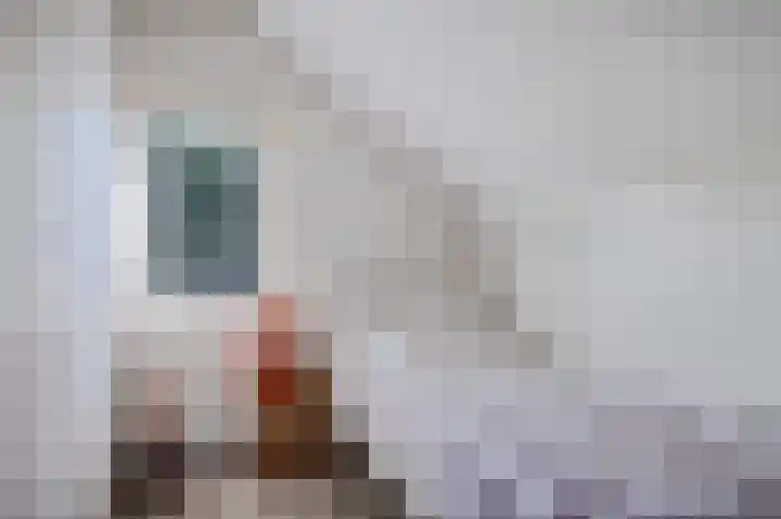 De Witte Raaflaan 24 Noordwijk thumbnail 28