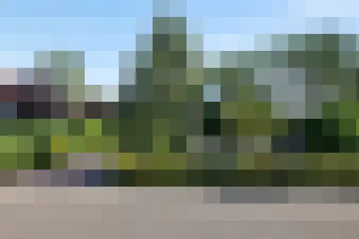 De Witte Raaflaan 24 Noordwijk foto 3