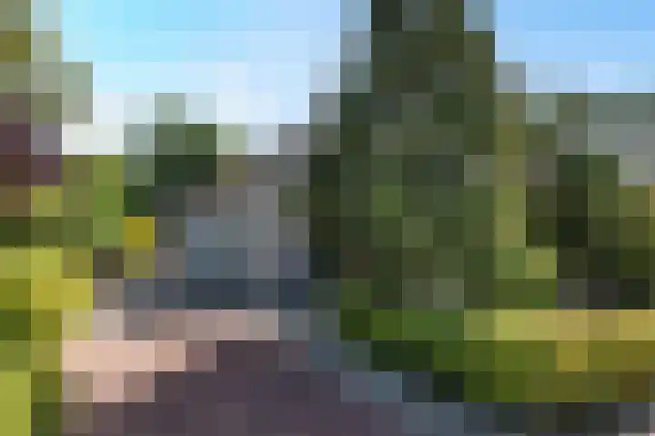 De Witte Raaflaan 24 Noordwijk thumbnail 4