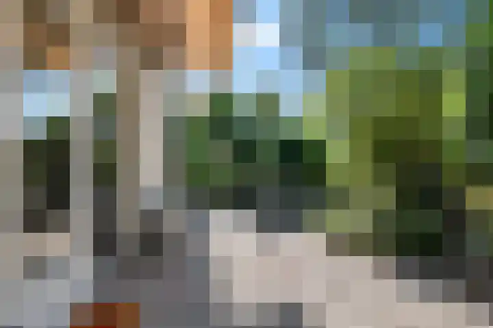 De Witte Raaflaan 24 Noordwijk thumbnail 5