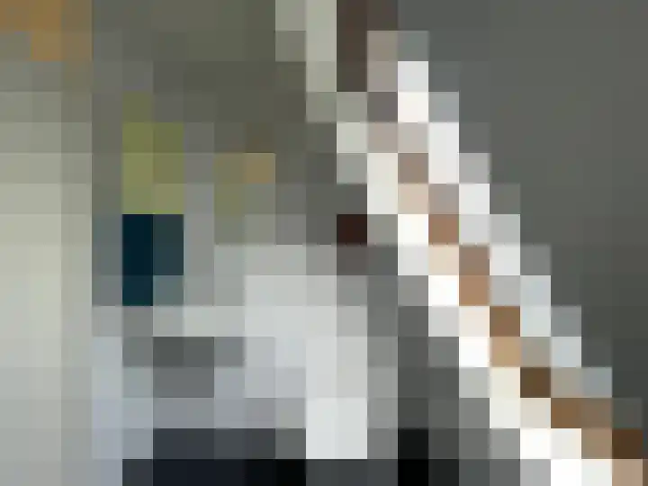 De Witte Raaflaan 53 Noordwijk thumbnail 11