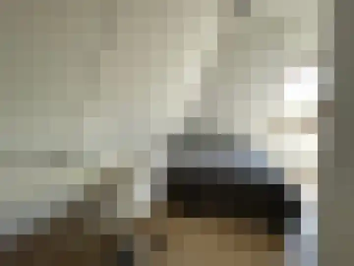 De Witte Raaflaan 53 Noordwijk thumbnail 15