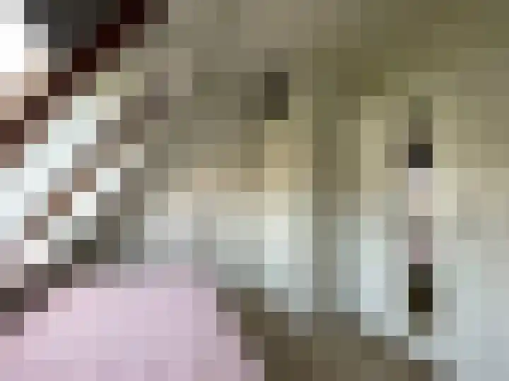 De Witte Raaflaan 53 Noordwijk thumbnail 19