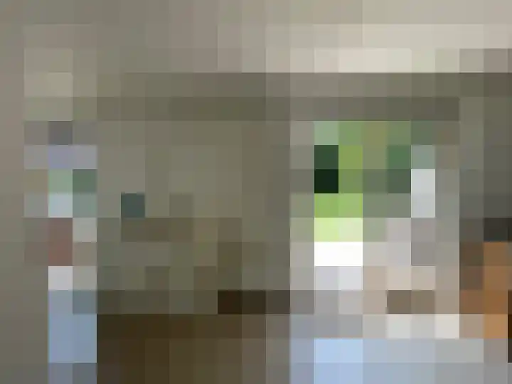 De Witte Raaflaan 53 Noordwijk thumbnail 4