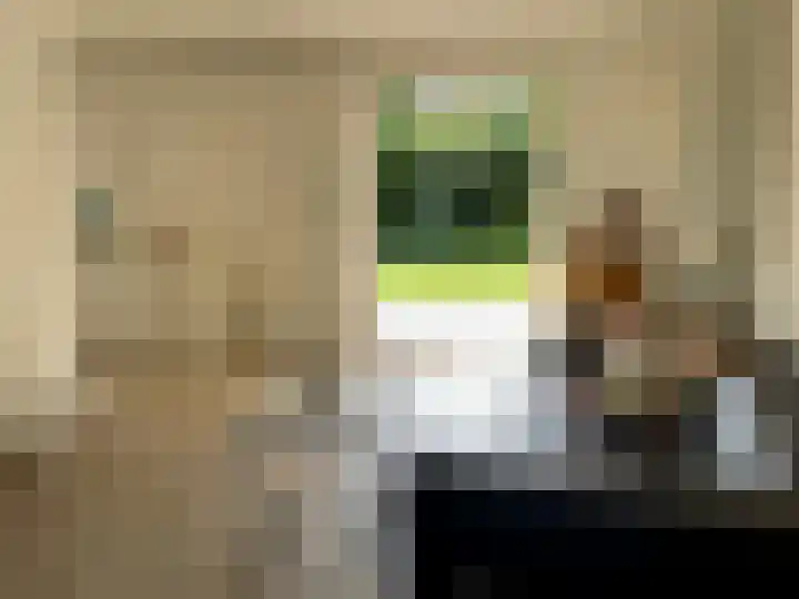 De Witte Raaflaan 53 Noordwijk thumbnail 6