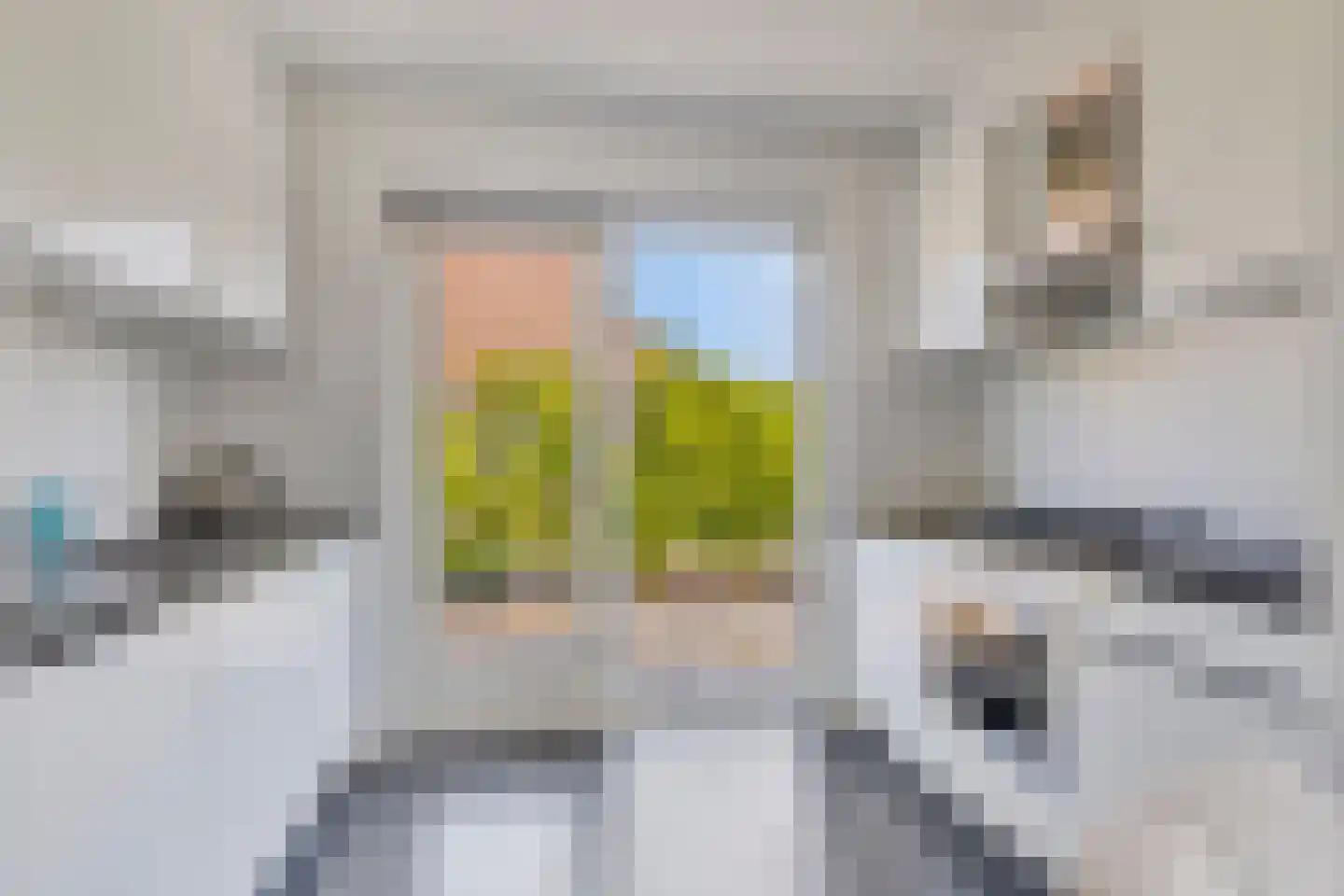 De Witte Raaflaan 62 Noordwijk thumbnail 10