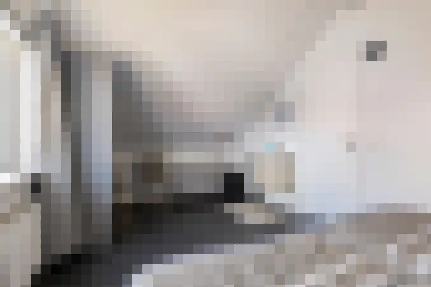 De Witte Raaflaan 62 Noordwijk thumbnail 19