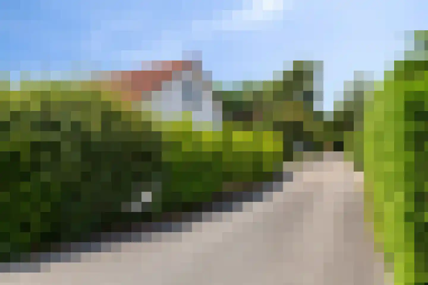 De Witte Raaflaan 62 Noordwijk foto 2