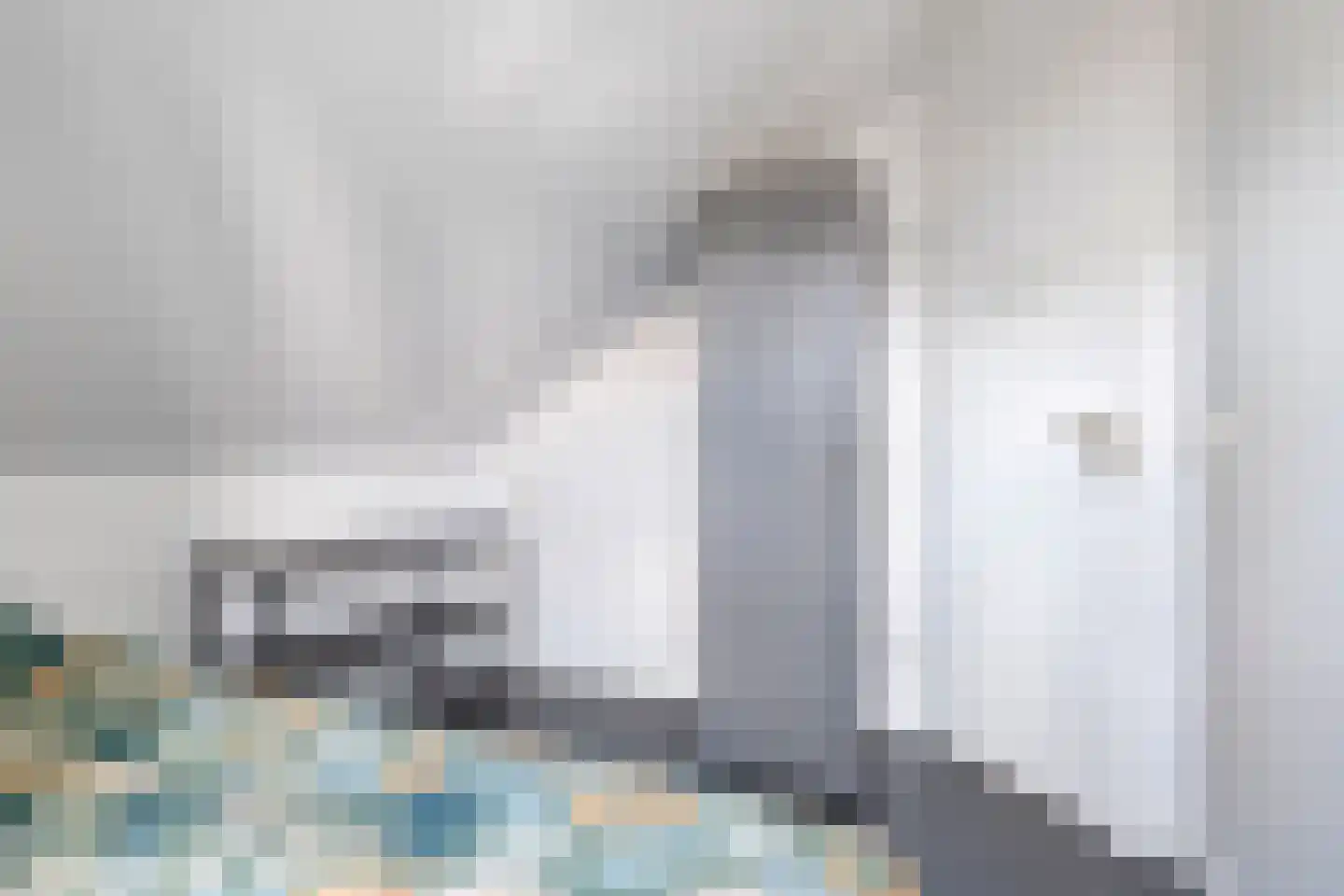 De Witte Raaflaan 62 Noordwijk thumbnail 21